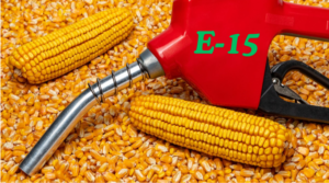 E15