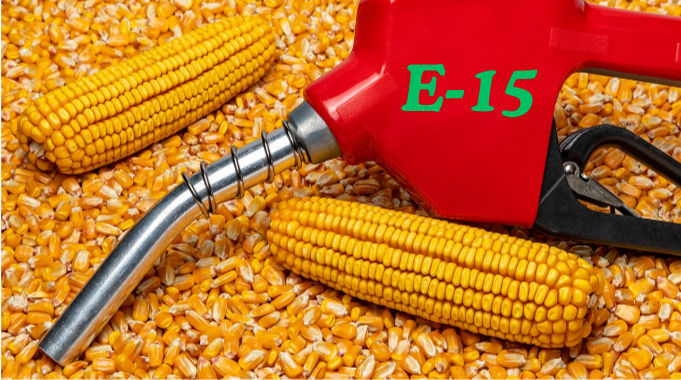 E15